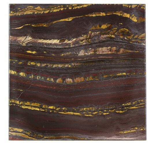 Tiger Iron Stromatolite Shower Tile - Billion Years Old #48805